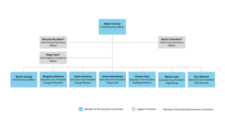 Organisational chart of the BKW Group