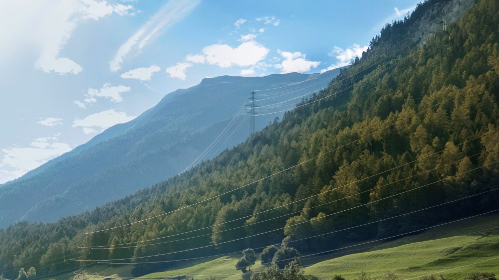 Verschiedene Stromleitungen, die über grüne Wiesen und Wälder führen.