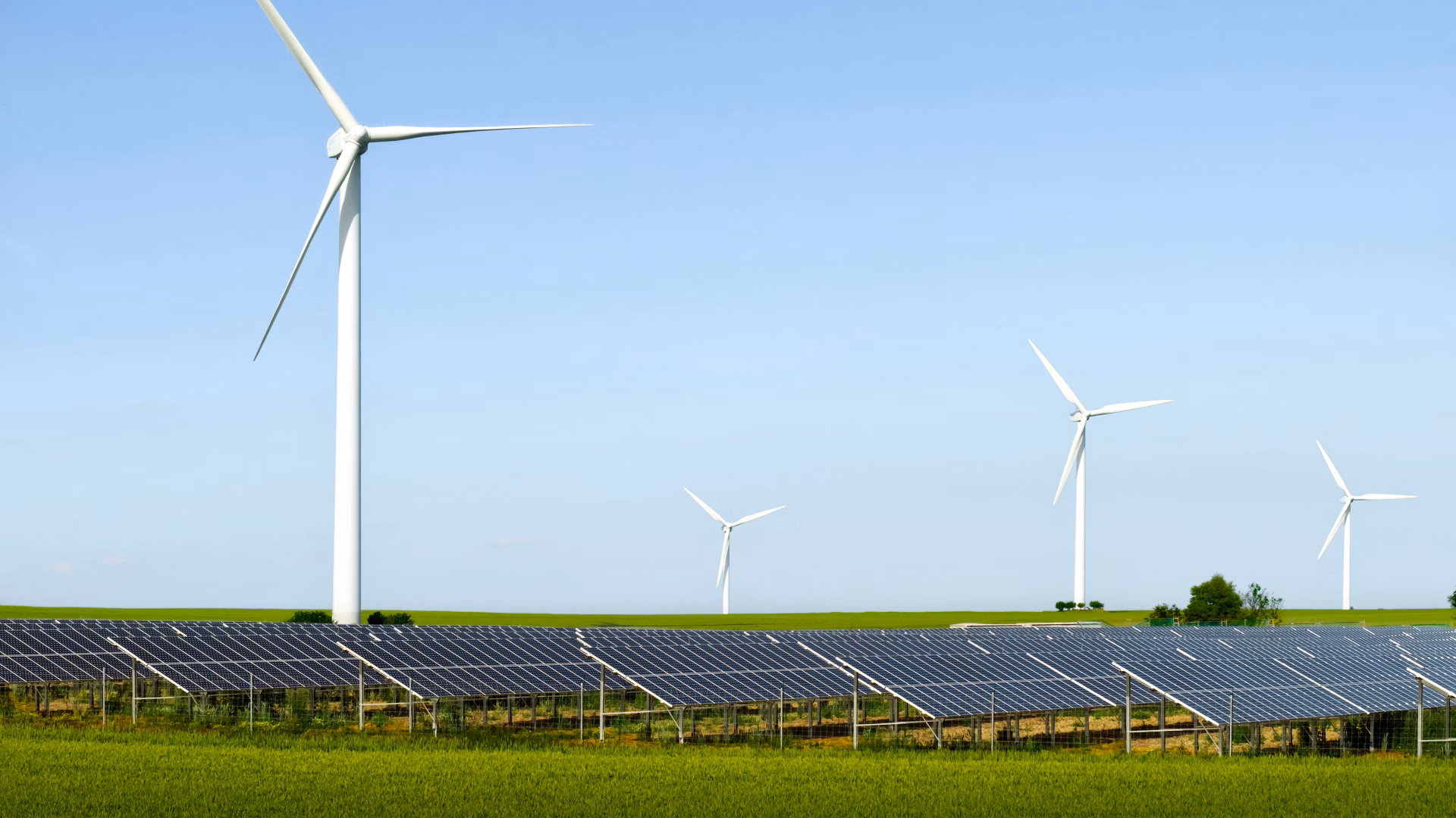 Windräder und Solarpanels auf einem Feld unter klarem Himmel
