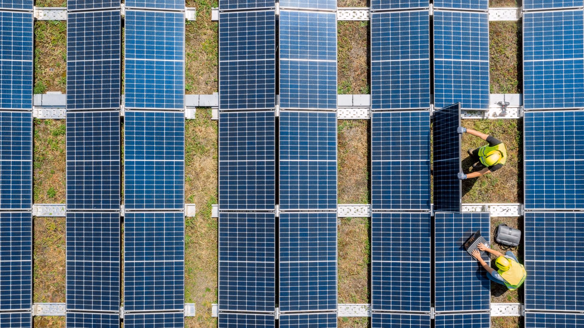 Zwei Personen mit Warnwesten montieren Solarmodule auf einem begrünten Flachdach.